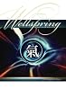 The Wellspring: An Inquiry into the Nature of Chi