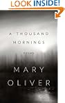 A Thousand Mornings