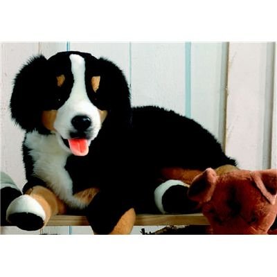 Plüti 1561-080-341 - Berner Sennenhund-Gangel - 80 cm