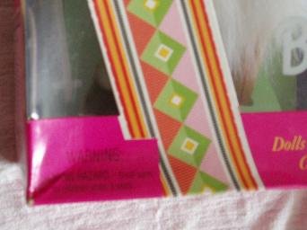 Arctic Barbie Collector's Edition