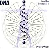 DNA Activation: LevelOne Series (4 CDs plus Companion Guide)