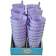 Disney Fairies Tinkerbell Purple Sipper Tumbler