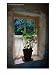 Cottage Window at Ulster Folk and Transport Museum, Down, Northern Ireland, United Kingdom, Windmills Photographic Poster Print by Richard Cummins, 18x24