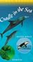Cradle in the Sea - Killer Whale & Manatee [VHS]