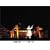 �p����� [DVD]