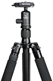 Giottos Vitruvian VGR9255+MH5310-630 Aluminium Tripod with Ball and Socket Head