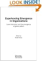 Experiencing Emergence in Organizations: Local Interaction and the Emergence of Global Patterns (Complexity as the Experience of Organizing)
