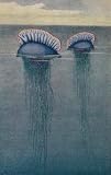 A Painting of Two Jellyfish Known as the Portuguese Man-of-war - 60H x 38W - Peel and Stick Wall Decal by Wallmonkeys