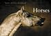 Horses (Spanish Edition)