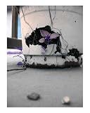 Decayed