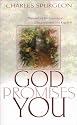 God Promises You