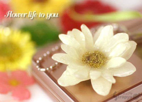 Cover image : 美しい生花で作られた誕生花**リアルフラワー携帯ストラップ(7月/なでしこ)