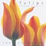 Tulips 2004 Wall Calendar