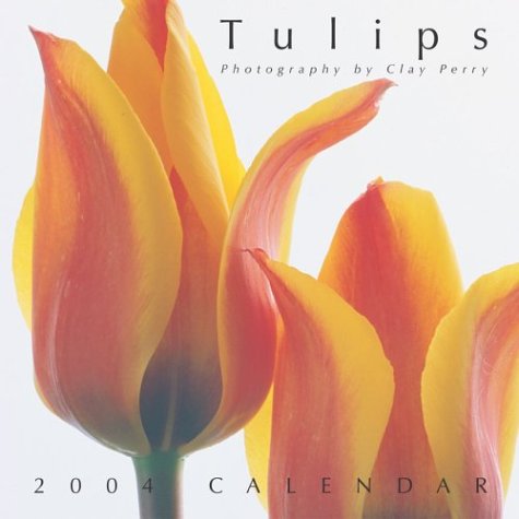 Tulips 2004 Wall Calendar