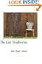 The Lost Stradivarius