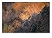Leopard, Maun, Botswana Photographic Print, 24