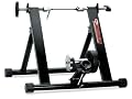 Bell Motivator Mag Indoor Bicycle Trainer