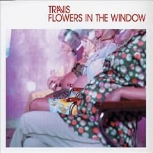 Flowers in the Window