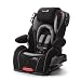 Safety 1st Alpha Omega Elite Convertible Car Seat in Proton