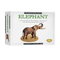 Eyewitness Elephant Model Kit