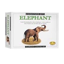 Eyewitness Elephant Model Kit