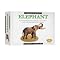 Eyewitness Elephant Model Kit