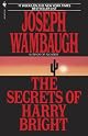 The Secrets of Harry Bright (03968)