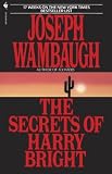 The Secrets of Harry Bright (03968)