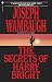 The Secrets of Harry Bright (Paperback)