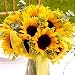 Send Fresh Cut Flowers - Sunflower Centerpiece (6pc) - Yellow