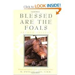 Blessed Are The Foals