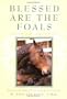 Blessed Are The Foals