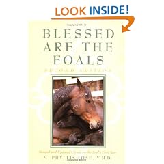 Blessed Are The Foals