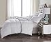 LUXURIOUS KING Size White Goose Down Alternative Comforter Duvet Insert 750 Fill Power, 60 oz Fill Weight,Plush Siliconized Polyester Fiberfill,Hypoallergenic,Baffle Box design & LIFETIME WARRANTY!