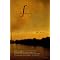 Good Literary Crime Fiction