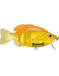 Storm Kickin Slab 04 (Goldfish, Size- 4)