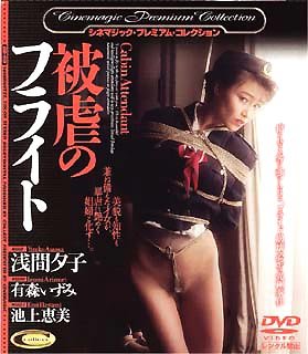 被虐のフライト [DVD]