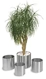 Eigenschaften Blomus 66851 / Blomus 66851 Blumentopf Ø 35 cm GREENS