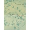 Lorine Niedecker: Collected Works