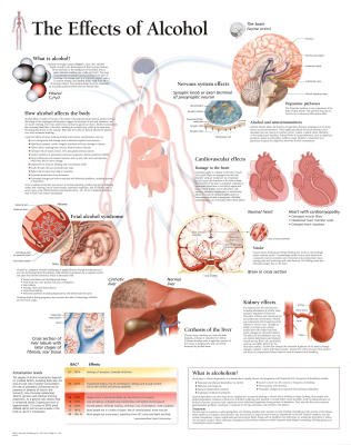effects of alcohol