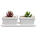 Small Modern 2 Piece White Ceramic Windowsill Flower Box w/ Removable Tray / Succulent Planter Pot