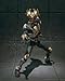 S.I.C. Ultimate Soul Masked Rider Kamen Rider Agito Grand Form [JAPAN]