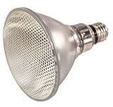 Satco S2225 120PAR38/HAL/FL 120-watt PAR38 Reflector Halogen Flood Light / 120V