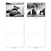 The Best Card Company - 10 Blank Note Cards with Envelopes (4 x 5.12 Inch) - Black & White Photos, Bulk Boxed Set - On the Rocks M3309-NB