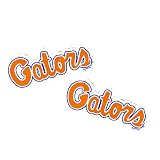 NCAA Florida Gators Car Magnet with Mascot (Small, 2 Pack)