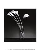 IMAGE OF Arums 1990 HIGH QUALITY MUSEUM WRAP CANVAS Print Pierre Michaud 10x12