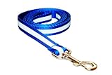 Large Reflective Blue Dog Leash: 3/4 wide, 6ft length.