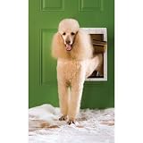 PetSafe Large Extreme Weather Pet Door, White