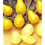 Organic Yellow Pear Tomato 75 Seeds -Heirloom