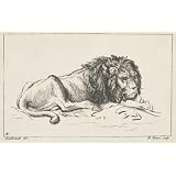 Lion taking a rest (Print On Demand)